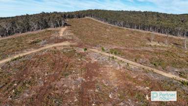 Farm For Sale - NSW - Delegate - 2633 - Farming or Forestry Opportunity  (Image 2)