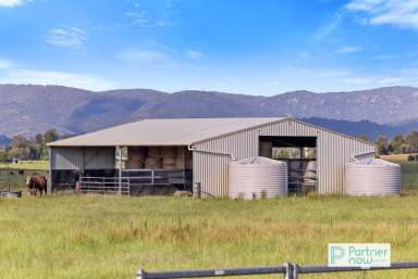 Farm For Sale - NSW - Tamworth - 2340 - A prime agricultural holding with dual residences and extensive infrastructure.  (Image 2)