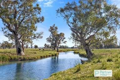 Farm For Sale - NSW - Tamworth - 2340 - A prime agricultural holding with dual residences and extensive infrastructure.  (Image 2)