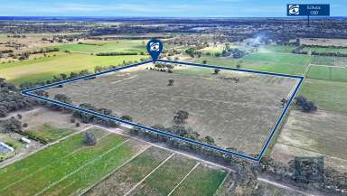 Farm For Sale - VIC - Echuca - 3564 - Rural Lifestyle Property just minutes from Echuca (16.5ha*)  (Image 2)