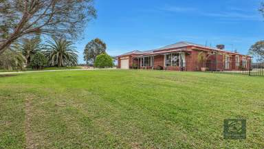 Farm For Sale - VIC - Echuca - 3564 - Rural Lifestyle Property just minutes from Echuca (16.5ha*)  (Image 2)