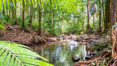 Farm Auction - NSW - Killabakh - 2429 - Must Be Sold - A Nature Lovers Paradise  (Image 2)