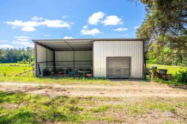 Farm For Sale - NSW - Wherrol Flat - 2429 - Exceptional Opportunity  (Image 2)