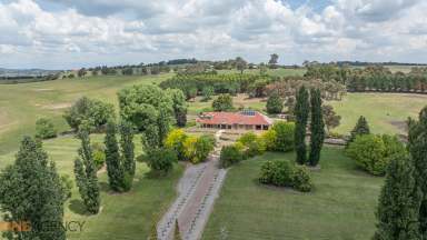 Farm For Sale - NSW - Orange - 2800 - 30 Acres on the edge of town  (Image 2)