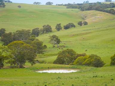 Farm For Sale - VIC - Coleraine - 3315 - FOR LEASE BY TENDER  (Image 2)