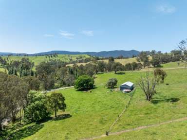 Farm For Sale - VIC - Reedy Flat - 3895 - ONCE IN A LIFETIME FARM!  (Image 2)