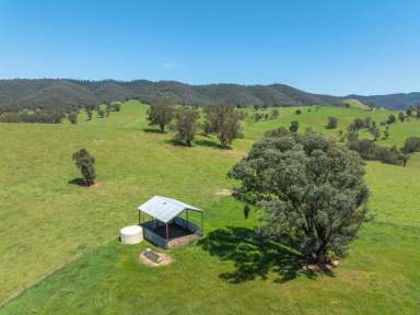 Farm For Sale - VIC - Reedy Flat - 3895 - ONCE IN A LIFETIME FARM!  (Image 2)