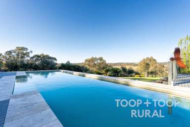 Farm For Sale - SA - Clare - 5453 - Ultimate Luxury Estate - Clare Valley  (Image 2)