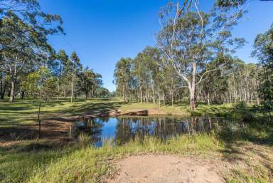 Farm For Sale - NSW - Branxton - 2335 - LIFESTYLE PARADISE ON 8 ACRES  (Image 2)