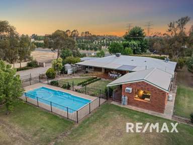 Farm For Sale - NSW - Lake Albert - 2650 - 5 ACRE LIFESTYLE RETREAT  (Image 2)