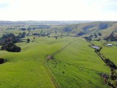 Farm For Sale - VIC - Krowera - 3945 - Classic Kernot Lifestyle/Grazing - 146 Acres  (Image 2)