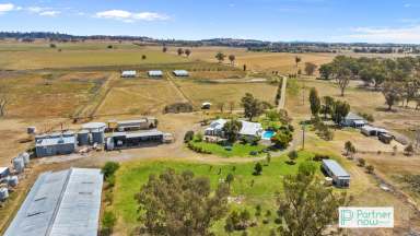 Farm For Sale - NSW - Tamworth - 2340 - Rural Retreat & Productive Land - Loomberah  (Image 2)