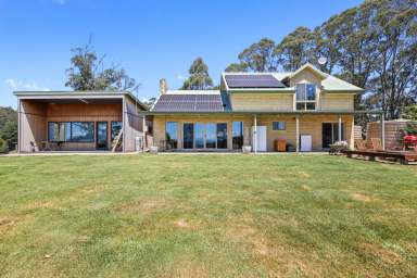 Farm For Sale - VIC - Seaview - 3821 - Seaview private rural hideaway – 50 Acres  (Image 2)