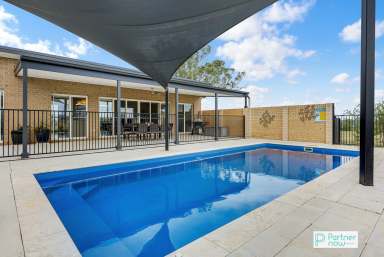 Farm For Sale - NSW - Tamworth - 2340 - Stunning Home, Views and Lifestyle!  (Image 2)