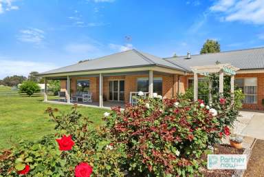 Farm For Sale - NSW - Tamworth - 2340 - Rural Living with Modern Conveniences  (Image 2)