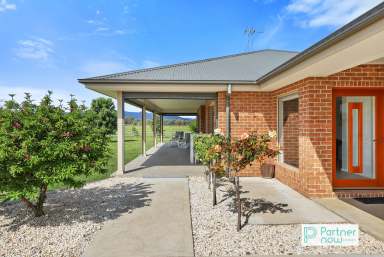 Farm For Sale - NSW - Tamworth - 2340 - Rural Living with Modern Conveniences  (Image 2)