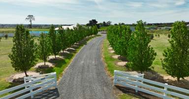 Farm For Sale - VIC - Bairnsdale - 3875 - Magnificent on Mittons Road  (Image 2)