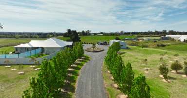 Farm For Sale - VIC - Bairnsdale - 3875 - Magnificent on Mittons Road  (Image 2)