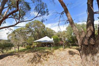 Farm For Sale - WA - Eglinton - 6034 - Rare Rural Land on the Edge of Suburbia  (Image 2)