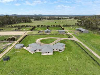 Farm For Sale - VIC - Gerangamete - 3249 - PICTURESQUE COLAC – OTWAY DISTRICT PROPERTY  (Image 2)