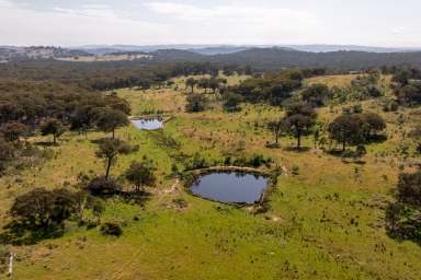 Farm For Sale - NSW - Mudgee - 2850 - Original Rural Cottage – Mudgee 110 HA  (Image 2)