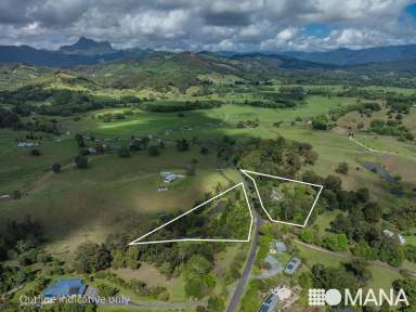 Farm For Sale - NSW - Nobbys Creek - 2484 - Your Dream Acreage Awaits  (Image 2)