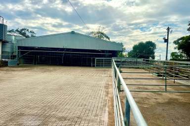 Farm For Sale - VIC - Naringal East - 3277 - Highly Regarded Dairy / Livestock Property  (Image 2)