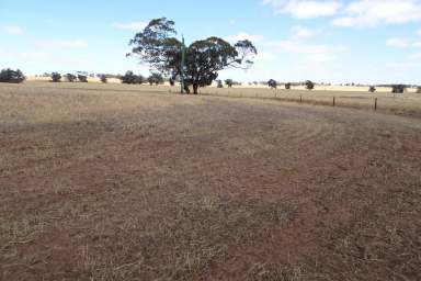 Farm For Sale - WA - Wagin - 6315 - Corralyn  (Image 2)