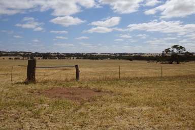 Farm For Sale - WA - Wagin - 6315 - Corralyn  (Image 2)