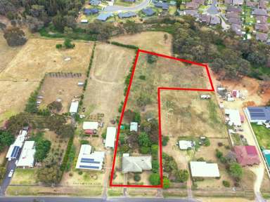 Farm Auction - NSW - Young - 2594 - 2.19acs* Only A 2 Minute* Drive To The Main Street  (Image 2)