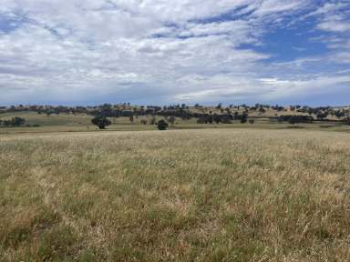 Farm For Sale - NSW - Jugiong - 2726 - Great Rural Location  (Image 2)