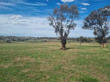 Farm For Sale - NSW - Jugiong - 2726 - Great Rural Location  (Image 2)