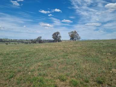 Farm For Sale - NSW - Jugiong - 2726 - Great Rural Location  (Image 2)