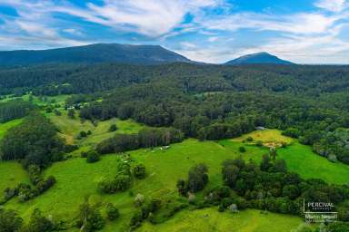 Farm For Sale - NSW - Lorne - 2439 - Excellent Grazing Block or Weekend Hide Away  (Image 2)