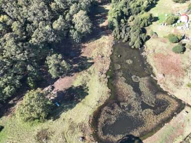 Farm For Sale - TAS - Elizabeth Town - 7304 - Where Dreams Come True!  (Image 2)