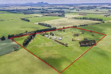 Farm For Sale - VIC - Tarrington - 3301 - 'Merrigum' Stunning Tarrington Property  (Image 2)