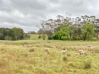 Farm For Sale - NSW - Durran Durra - 2622 - 52 Halls Lane Durran Durra  (Image 2)