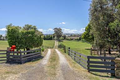 Farm For Sale - TAS - Youngtown - 7249 - Serene Rural Living with Urban Convenience on 12 Acres  (Image 2)