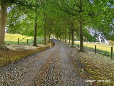 Farm For Sale - VIC - Neerim South - 3831 - Templemore - a Prestige 315 Acre property  (Image 2)