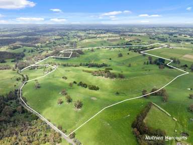 Farm For Sale - VIC - Neerim South - 3831 - Templemore - a Prestige 315 Acre property  (Image 2)