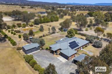 Farm For Sale - VIC - Stawell - 3380 - Custom Family Sanctuary with Peaceful, Private Surroundings  (Image 2)