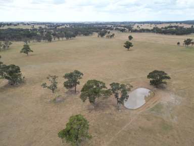 Farm Auction - VIC - Cornishtown - 3683 - "Edna's Block"  (Image 2)