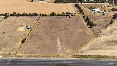 Farm For Sale - SA - Bordertown - 5268 - Build the House of your Dreams on Acres  (Image 2)