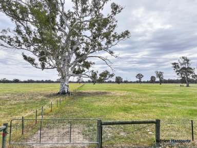 Farm Auction - VIC - Violet Town - 3669 - Prime Pastoral Property in Violet Town  (Image 2)