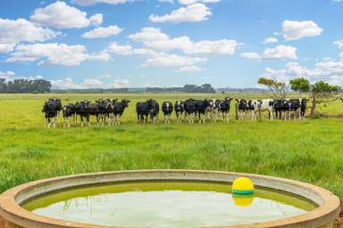 Farm For Sale - VIC - Koroit - 3282 - Beef or dairy - your choice!  (Image 2)