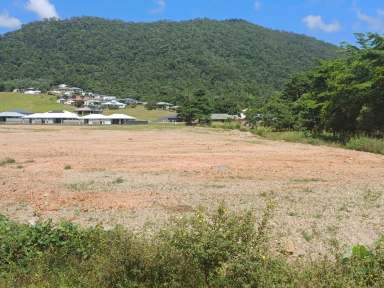 Farm For Sale - QLD - Tully - 4854 - LARGE FLAT ACREAGE BLOCK IN TOWN (121-129 BRYANT ST,TULLY)  (Image 2)