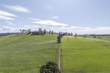 Farm For Sale - TAS - Kimberley - 7304 - High Quality Pasture with Scenic Views + Option to Purchase Adjoining 392 Acres  (Image 2)