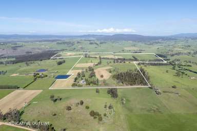 Farm For Sale - TAS - Kimberley - 7304 - High Quality Pasture with Scenic Views + Option to Purchase Adjoining 392 Acres  (Image 2)