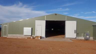 Farm For Sale - VIC - Charlton - 3525 - Poultry Operation  (Image 2)