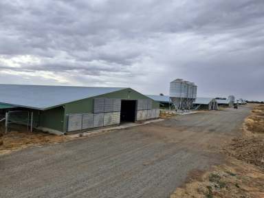 Farm For Sale - VIC - Charlton - 3525 - Poultry Operation  (Image 2)